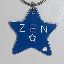 Plastic Star Keyring